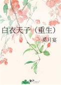 白衣天子沈万三