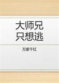 大师兄只想逃TXT