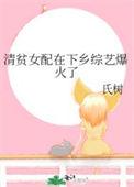清贫的女子