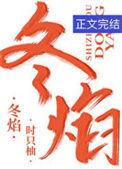 冬焰颗粒炉