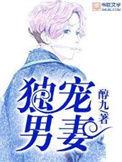 独宠男妻好看吗