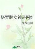 塔罗牌特别准的女主持人