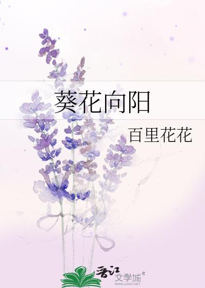 葵花向阳股票
