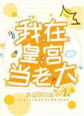 我在皇宫当老大免费阅读