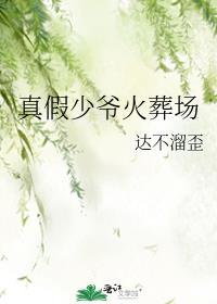 真假少爷火葬场在哪看