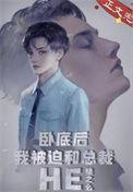 卧底已凉