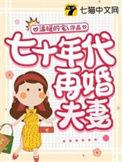 七零年代二婚