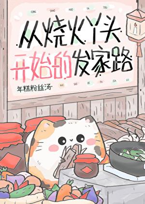 从烧火丫头开始的发家路TXT免费