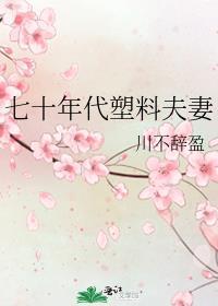 七十年代塑料夫妻晋江