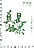 真是好茶by严颂全文免费阅读