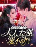 夫人又闹离婚了免费阅读