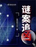 谜案追凶第三季在线观看