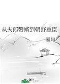 从夫郎赘婿到朝野重臣评价