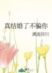 真结婚了不骗你番外篇完整版