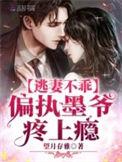 墨少轻宠小逃妻全文