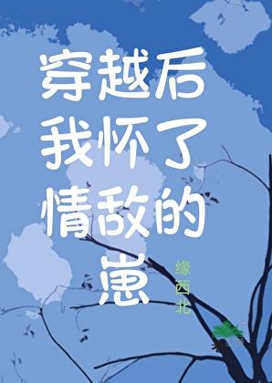 我怀了情敌的孩子之后by