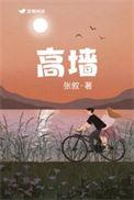 高墙天空