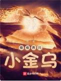 偷偷养只小金乌主角妖宠介绍