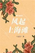 风起上海滩免费观看