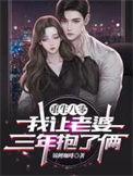 重生八零我让老婆三年抱了俩txt全本