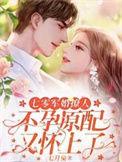 七零军婚不可欺凤舞
