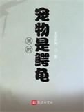 我的宠物是鳄龟全文阅读