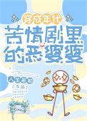 关于恶婆婆的电视剧