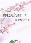贵妃死的那一年叫什么