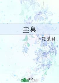 圭臬的意思