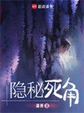 隐秘死角笔趣阁完整版