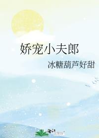 娇宠小夫郎by