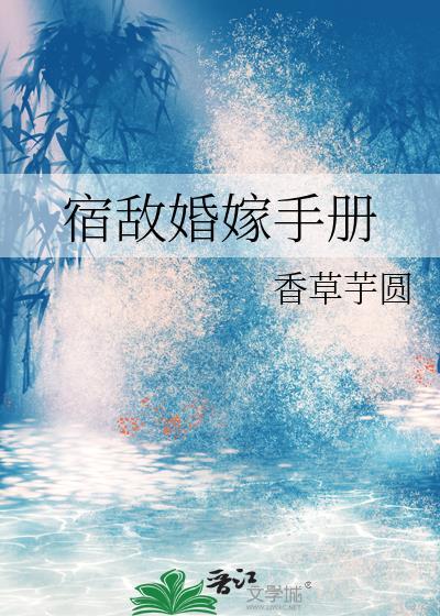 宿敌婚嫁手册24章