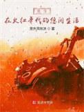 重生于火红年代 txt