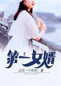 第一女婿在线收听