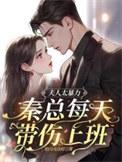 秦夫人无防盗章免费阅读