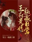 王府贵妾无删减txt百度