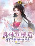 和将军互换灵魂