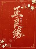 正良缘百度TXT