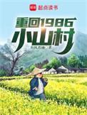 重回1986小山村全集完整版