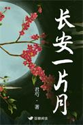 长安一片月下一句