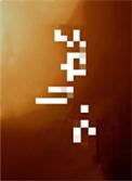 笼中月岛頔txt