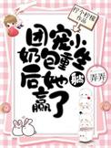 重生团宠七个哥哥风华绝代颜小洱