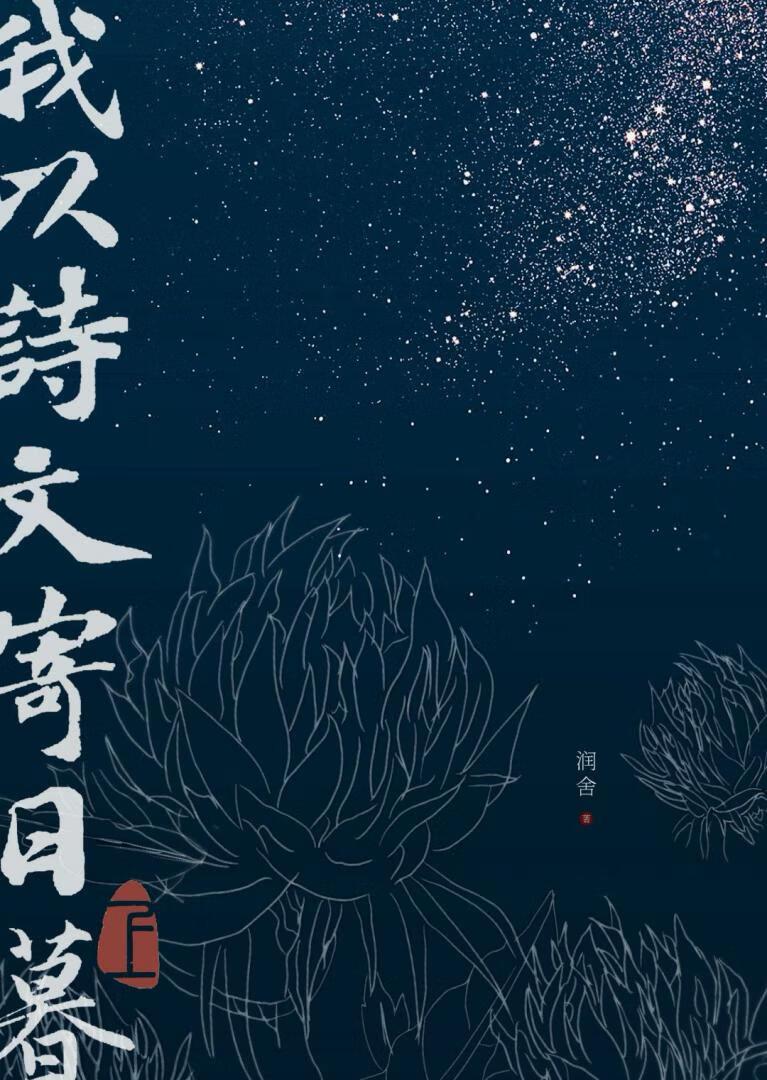 我以诗文寄日暮润舍