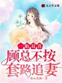 一胎双宝总裁娶妻套路