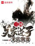 龙佑荆襄TXT九八中文网