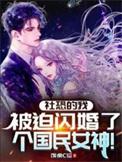 被迫闪婚了个国民女神 穿越/现代/爱情