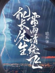 雷雨请绕飞 全集