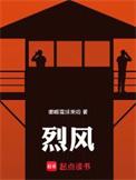 烈风天翼陀螺