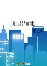 逃出缅北全部演员表介绍