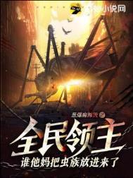 全民领主之最终浩劫